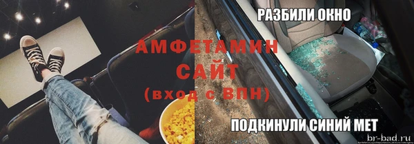 стаф Алзамай