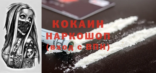 стаф Алзамай