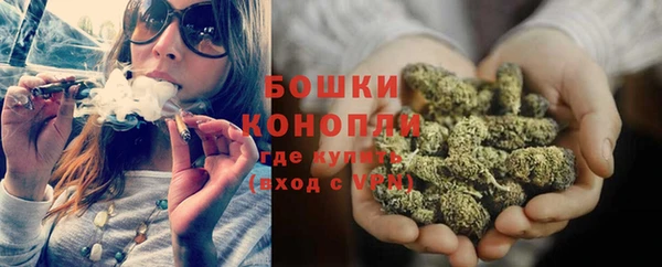прущие грибы Абдулино