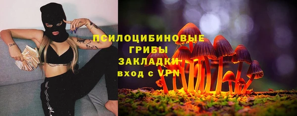 эйфоретик Алексеевка